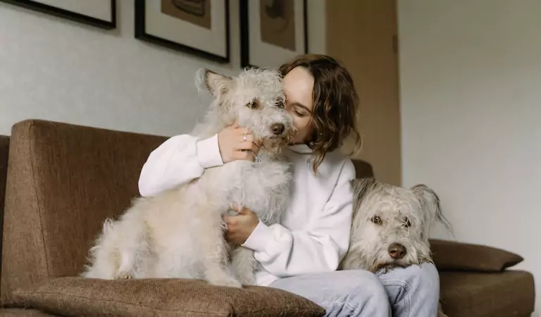 young woman sitting on a couch with her dogs
