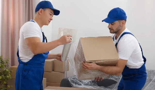 Preparation and Packing